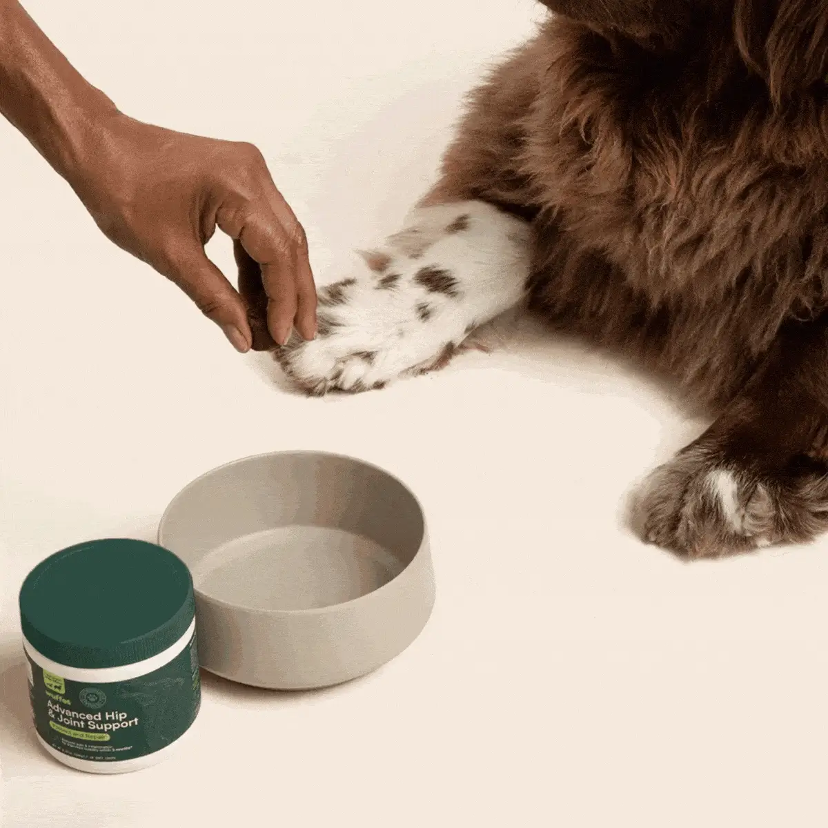 Advanced Hip & Joint Support