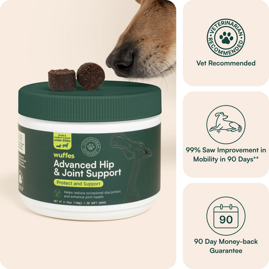 Advanced Hip & Joint Support