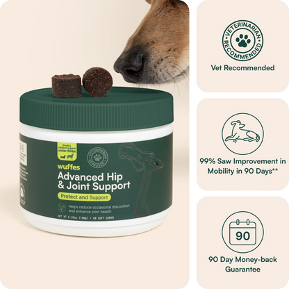 Advanced Hip & Joint Support