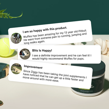 Advanced Hip & Joint Support